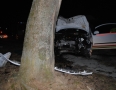 Krimi - NEHODA V MICHALOVCIACH: Vodič narazil pred budovou polície do stromu - 2.jpg