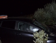 Krimi - BRUTÁLNA NEHODA: Vodič narazil do stromu. Auto sa viackrát prevrátilo - DSC_1682.jpg