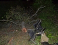 Krimi - BRUTÁLNA NEHODA: Vodič narazil do stromu. Auto sa viackrát prevrátilo - DSC_1687.jpg