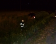 Krimi - BRUTÁLNA NEHODA: Vodič narazil do stromu. Auto sa viackrát prevrátilo - DSC_1696.jpg