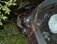 Krimi - BRUTÁLNA NEHODA: Vodič narazil do stromu. Auto sa viackrát prevrátilo - DSC_1708.jpg