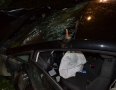 Krimi - BRUTÁLNA NEHODA: Vodič narazil do stromu. Auto sa viackrát prevrátilo - DSC_1709.jpg