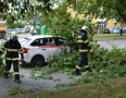 Zaujimavosti - NEHODA v MICHALOVCIACH: Na taxík spadol počas jazdy obrovský konár - DSC_1139.jpg