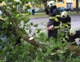 Zaujimavosti - NEHODA v MICHALOVCIACH: Na taxík spadol počas jazdy obrovský konár - DSC_1152.jpg