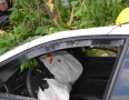 Zaujimavosti - NEHODA v MICHALOVCIACH: Na taxík spadol počas jazdy obrovský konár - DSC_1164.jpg