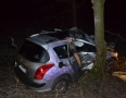 Krimi - Desivá nehoda pred Michalovcami: Vodič vrazil do stromu - 16.jpg