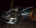 Krimi - Desivá nehoda pred Michalovcami: Vodič vrazil do stromu - 17.jpg
