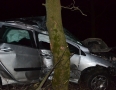 Krimi - Desivá nehoda pred Michalovcami: Vodič vrazil do stromu - 4.jpg