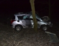 Krimi - Desivá nehoda pred Michalovcami: Vodič vrazil do stromu - 8.jpg