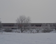 Krimi - MICHALOVCE: Desivá zrážka vlaku s autom - DSC_5744.JPG