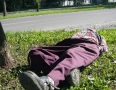 Zaujimavosti - Michalovčan nezomrel, len si rád pospí pri ceste - P1140706.JPG