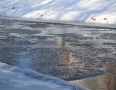 Relax - V ľadovom Laborci plávalo v Michalovciach 45 otužilcov. Pozrite si fotky - DSC_5284.JPG