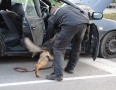 Krimi - MICHALOVCE: Policajná razia na drogy priamo na frekventovanej križovatke - DSC_7472.JPG