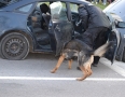 Krimi - MICHALOVCE: Policajná razia na drogy priamo na frekventovanej križovatke - DSC_7475.JPG