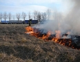 Krimi - MICHALOVCE:  Požiar na sídlisku JUH - P1190204.JPG