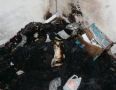 Krimi - Šialenec zapálil byt a pustil plyn    - P1050169.JPG