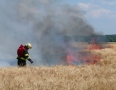 Krimi - Požiar v Michalovciach: S ohňom bojovali tri hasičské autá - P1290559.JPG