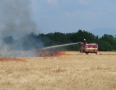 Krimi - Požiar v Michalovciach: S ohňom bojovali tri hasičské autá - P1290563.JPG