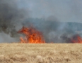 Krimi - Požiar v Michalovciach: S ohňom bojovali tri hasičské autá - P1290568.JPG