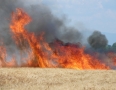 Krimi - Požiar v Michalovciach: S ohňom bojovali tri hasičské autá - P1290572.JPG