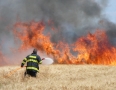Krimi - Požiar v Michalovciach: S ohňom bojovali tri hasičské autá - P1290574.JPG