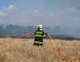 Krimi - Požiar v Michalovciach: S ohňom bojovali tri hasičské autá - P1290587.JPG