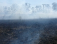 Krimi - Požiar v Angi mlyne: Hasiči sa borili v odpadkoch - P1190437.JPG
