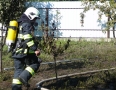 Krimi - POŽIAR V MICHALOVCIACH:  Hasiči zápasili s ohňom aj s včelami - P1240486.JPG