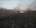 Krimi - Požiar v Michalovciach zlikvidovali hasiči do pol hodiny - P1190308.JPG