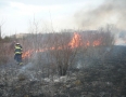 Krimi - Požiar v Michalovciach zlikvidovali hasiči do pol hodiny - P1190309.JPG