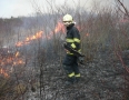 Krimi - Požiar v Michalovciach zlikvidovali hasiči do pol hodiny - P1190310.JPG