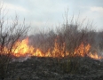 Krimi - Požiar v Michalovciach zlikvidovali hasiči do pol hodiny - P1190314.JPG