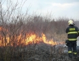 Krimi - Požiar v Michalovciach zlikvidovali hasiči do pol hodiny - P1190315.JPG