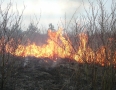 Krimi - Požiar v Michalovciach zlikvidovali hasiči do pol hodiny - P1190316.JPG
