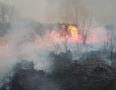 Krimi - Požiar v Michalovciach zlikvidovali hasiči do pol hodiny - P1190317.JPG