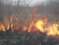 Krimi - Požiar v Michalovciach zlikvidovali hasiči do pol hodiny - P1190319.JPG