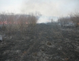 Krimi - Požiar v Michalovciach zlikvidovali hasiči do pol hodiny - P1190320.JPG