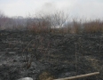 Krimi - Požiar v Michalovciach zlikvidovali hasiči do pol hodiny - P1190321.JPG