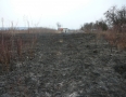 Krimi - Požiar v Michalovciach zlikvidovali hasiči do pol hodiny - P1190322.JPG