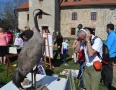Relax - Stovky Michalovčanov navštívili Vtáčí raj. Pozrite si fotky - DSC_7555.JPG