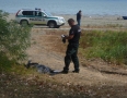 Krimi - ŠÍRAVA: Na pláži objavili telo mŕtveho muža    - P1240908.JPG