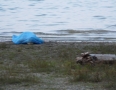 Krimi - Na Šírave zahynul muž. Asi sa utopil - P1200869.JPG