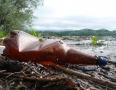 Samospráva - ŠÍRAVA: Nádrž zaplavili tony odpadu z Laborca - P1260269.JPG