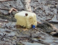 Samospráva - ŠÍRAVA: Nádrž zaplavili tony odpadu z Laborca - P1260276.JPG