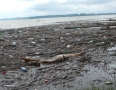 Samospráva - ŠÍRAVA: Nádrž zaplavili tony odpadu z Laborca - P1260279.JPG