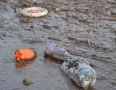 Zaujimavosti - Šíravu opäť zaplavili tony odpadu. Pozrite si fotky z vodnej nádrže - 20.JPG