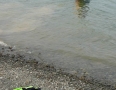 Krimi - Na Šírave sa utopil 43-ročný muž  - P1160520.JPG