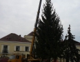 Samospráva - V centre Michaloviec osadili vyše 15 metrovú vianočnú jedličku - P1220551.JPG