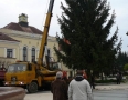 Samospráva - V centre Michaloviec osadili vyše 15 metrovú vianočnú jedličku - P1220552.JPG