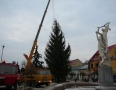 Samospráva - V centre Michaloviec osadili vyše 15 metrovú vianočnú jedličku - P1220567.JPG